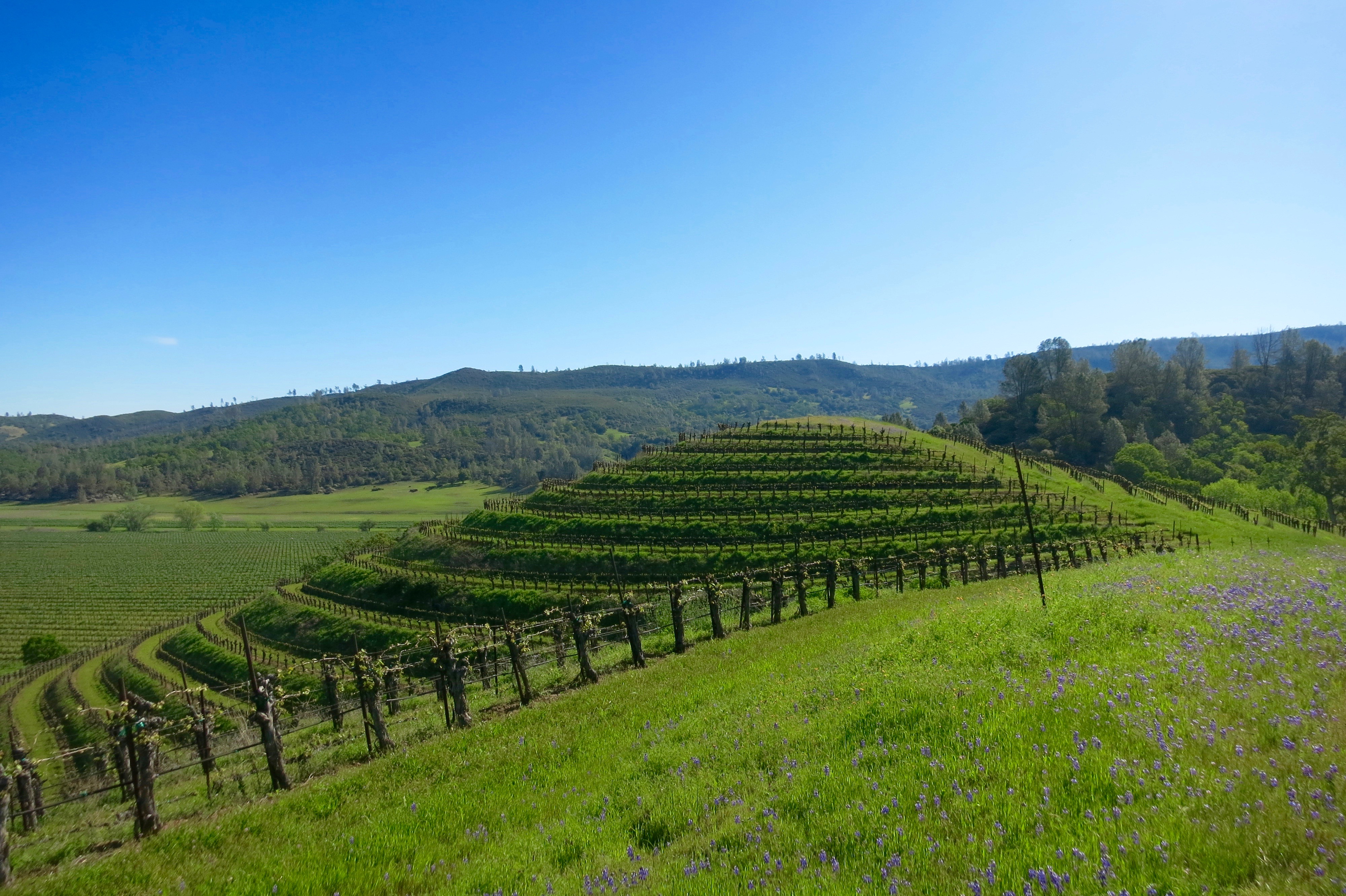 The beauty of Dollarhide Ranch is endless