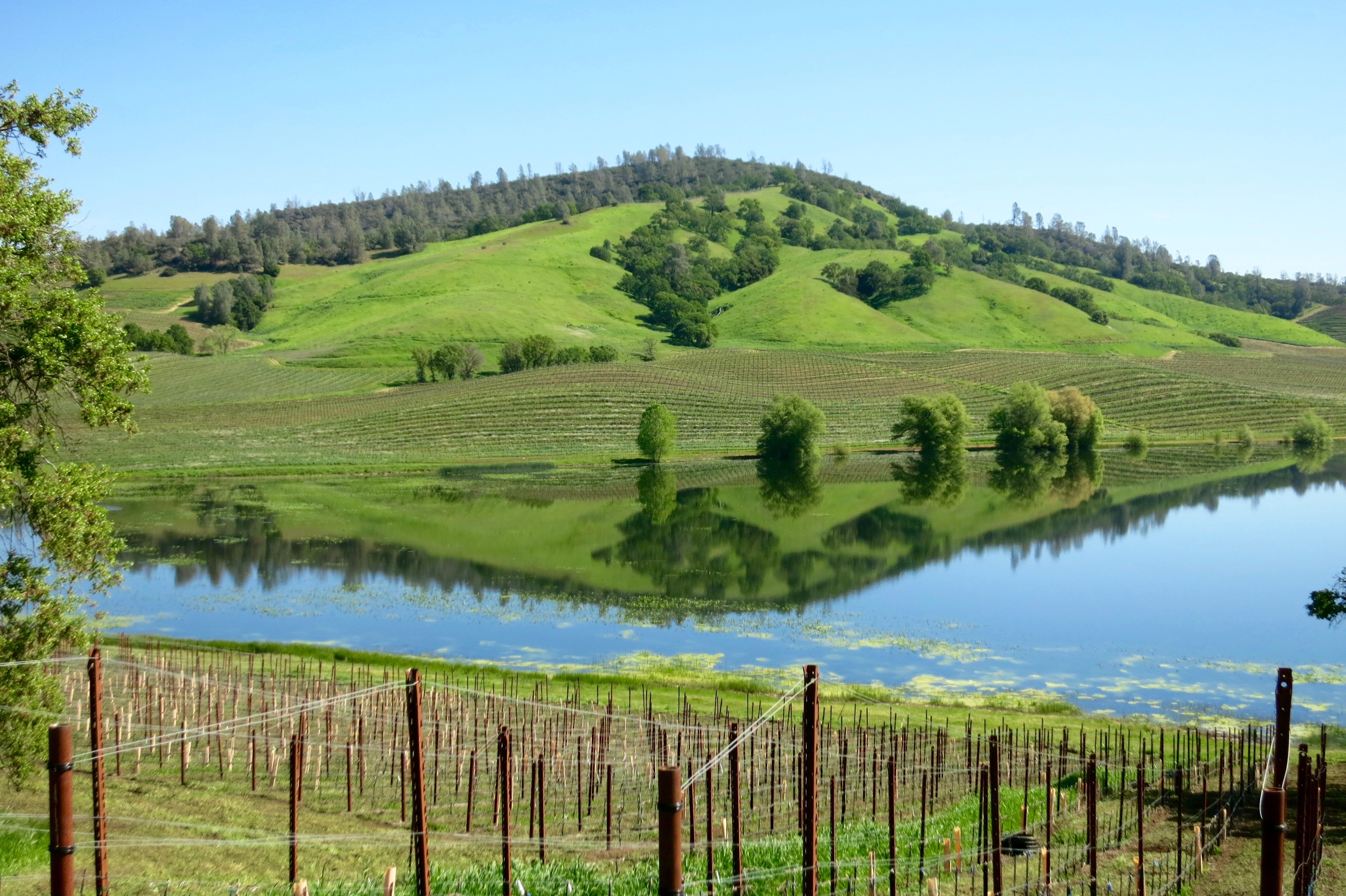 Stunning view of the lake inside Dollarhide Ranch